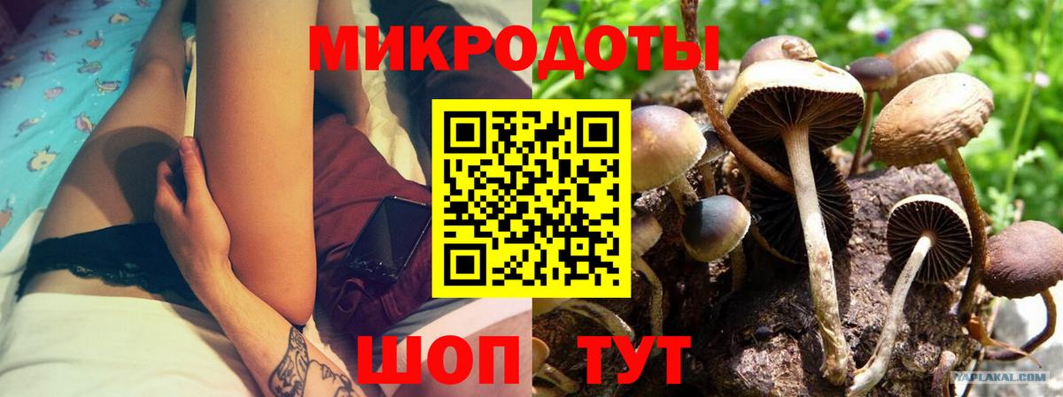 Псилоцибиновые грибы мицелий  Вход с VPN  Сургут  Псилоцибиновые грибы мухоморы 